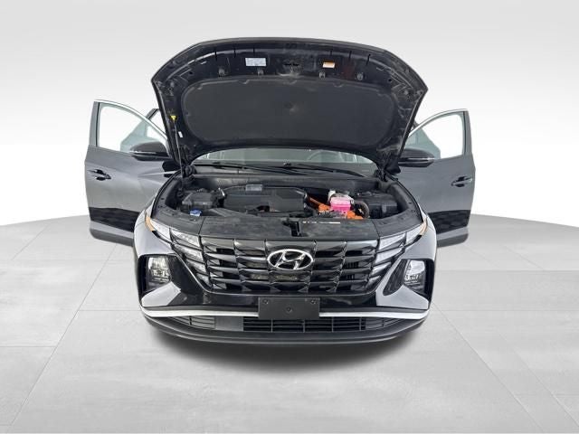 2023 Hyundai Tucson Hybrid Blue AWD